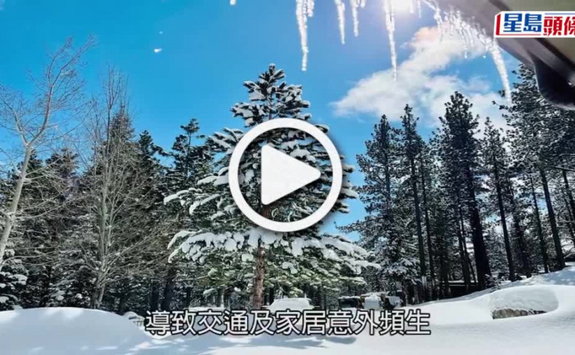 (視頻)「鷹眼」謝洛美遭鏟雪車輾腳拖行浴血　直升機送院一度危殆